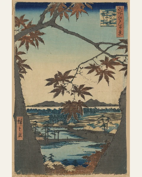 Maples at Mama Art Print