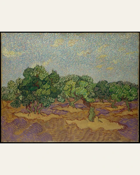 Olive Trees Art Print