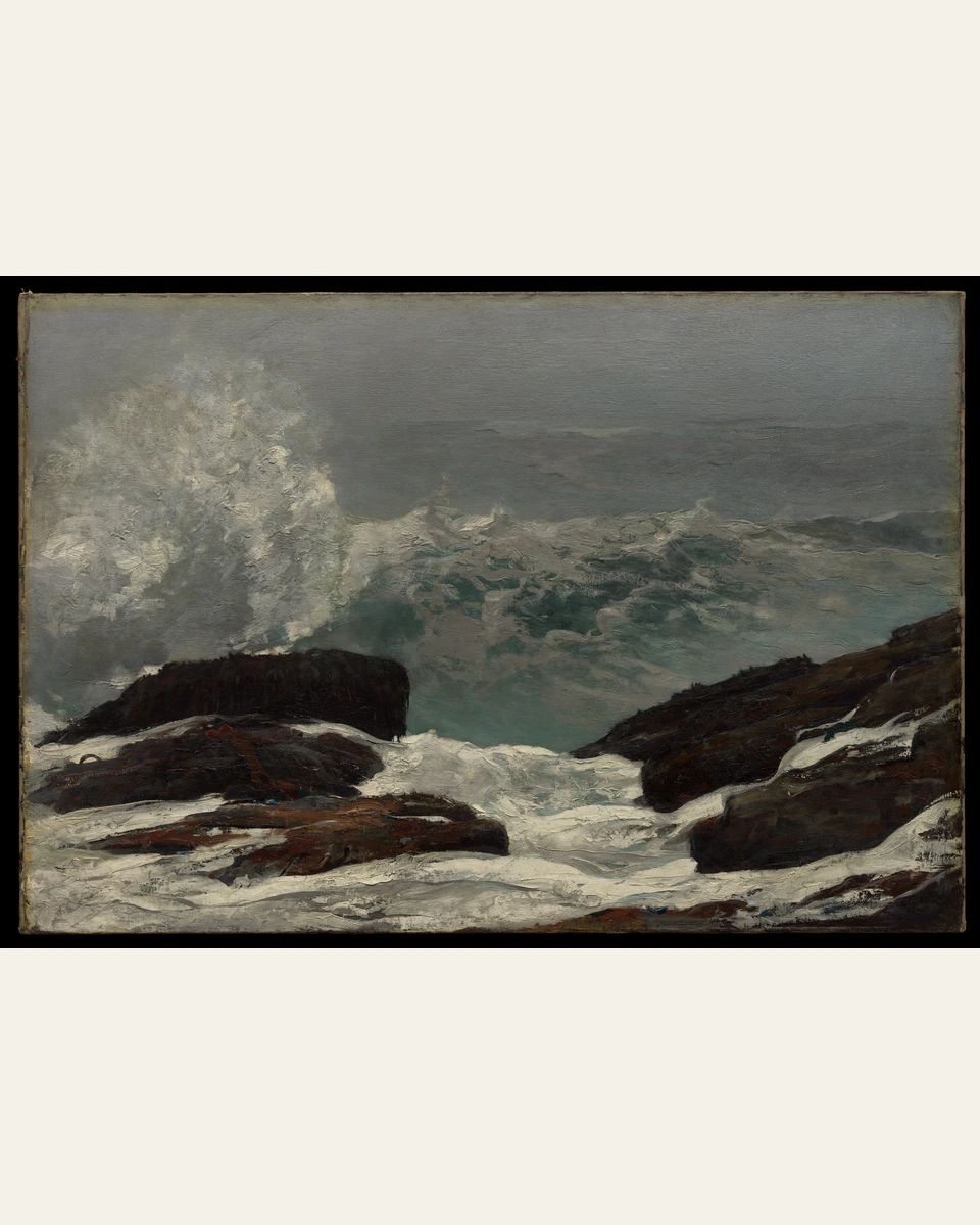 Maine Coast Art Print