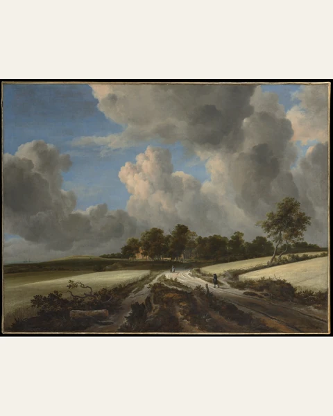 Wheat Fields Art Print