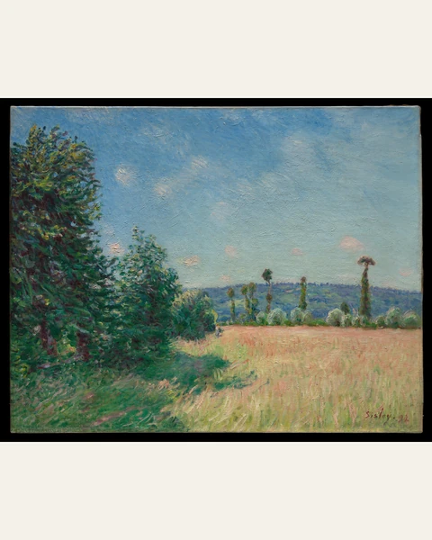 Sahurs Meadows in Morning Sun Art Print