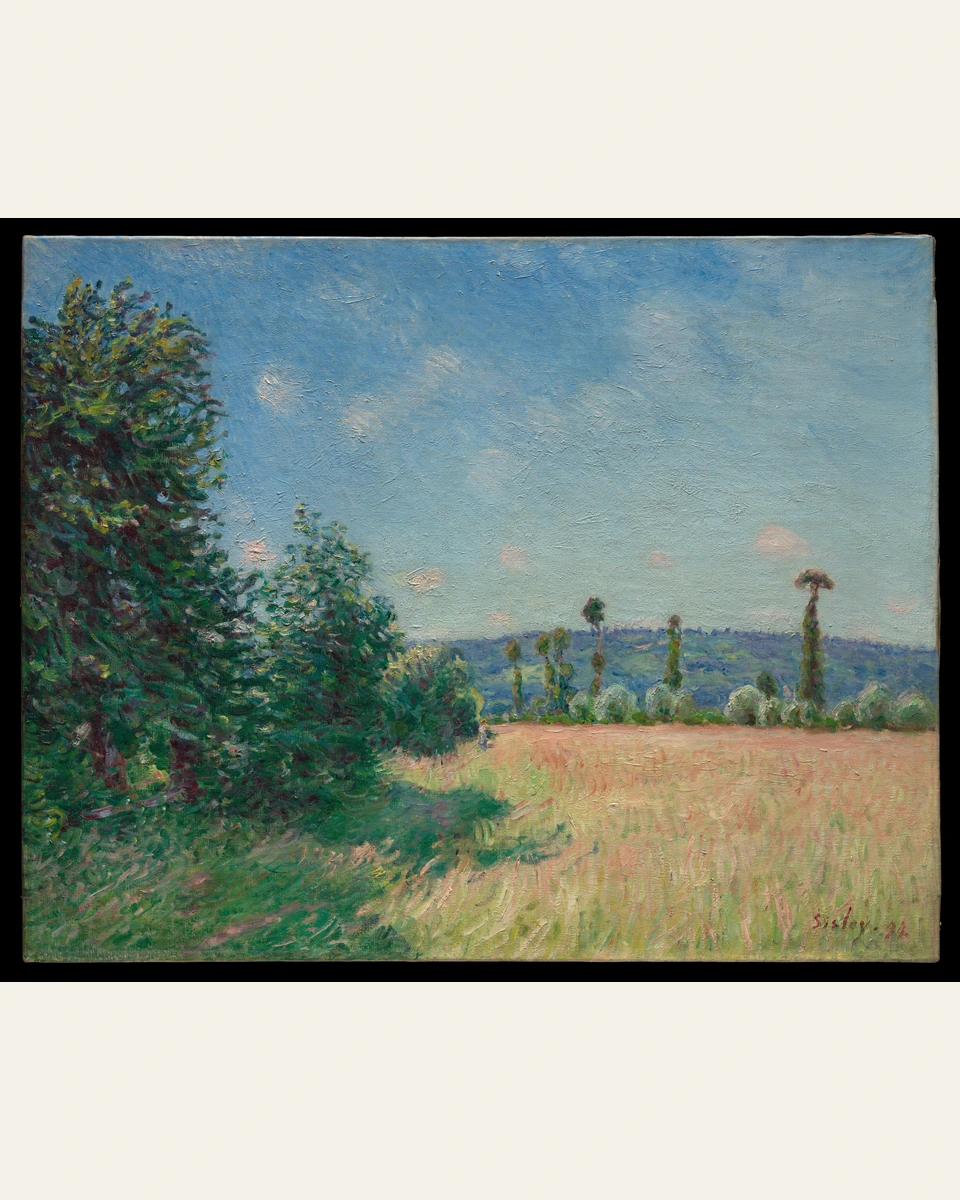 Sahurs Meadows in Morning Sun Art Print